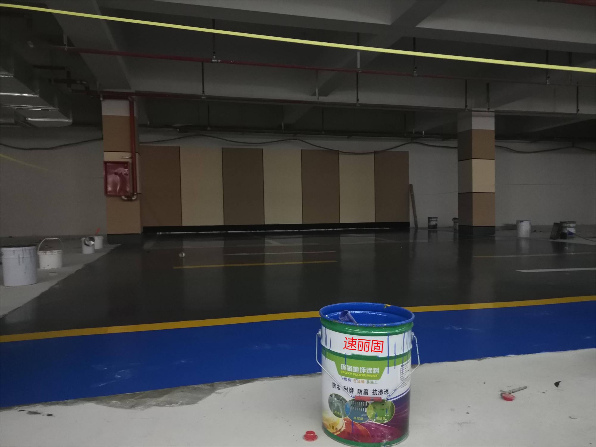 速丽固